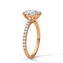 ovel-14k rose gold|ovel-18k rose gold
